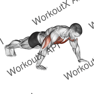 Wide Hand Push Up animated GIF