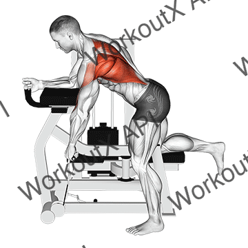 Lever Unilateral Row animated GIF