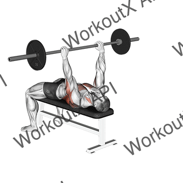 Barbell Bent Arm Pullover animated GIF