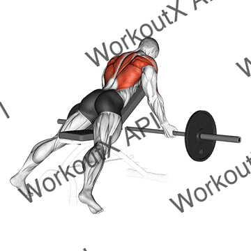 Barbell Reverse Grip Incline Bench Row animated GIF