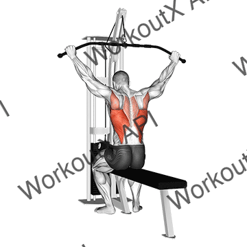 Cable Wide Grip Rear Pulldown Behind Neck animated GIF
