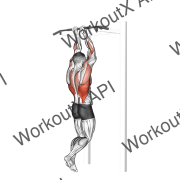 Close Grip Chin-up animated GIF