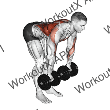 Dumbbell Palm Rotational Bent Over Row animated GIF