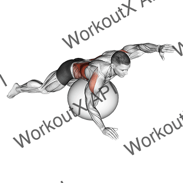 Exercise Ball Alternating Arm Ups animated GIF