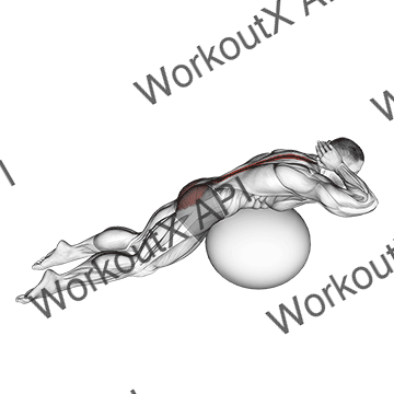 Exercise Ball Back Extension With Hands Behind Head animated GIF