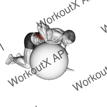 Exercise Ball Lat Stretch animated GIF