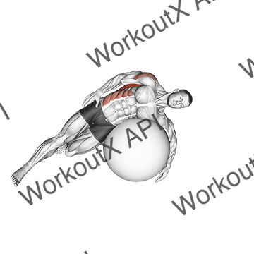 Exercise Ball Lying Side Lat Stretch animated GIF