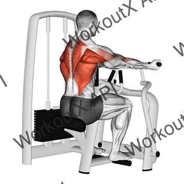 Lever Reverse Grip Vertical Row animated GIF