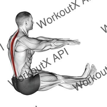 Spine Stretch animated GIF