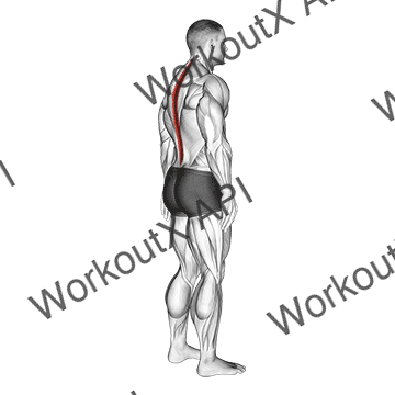 Standing Pelvic Tilt animated GIF