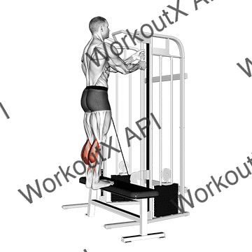 Cable Standing Calf Raise animated GIF