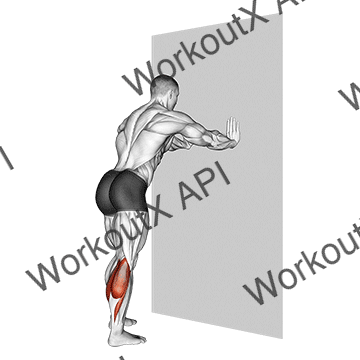 Calf Stretch With Hands Against Wall animated GIF