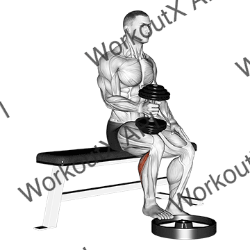Dumbbell Seated One Leg Calf Raise - Hammer Grip animated GIF