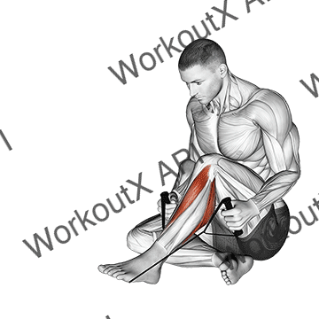 Posterior Tibialis Stretch animated GIF