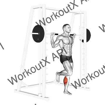 Smith One Leg Floor Calf Raise animated GIF