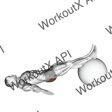 Exercise Ball One Legged Diagonal Kick Hamstring Curl