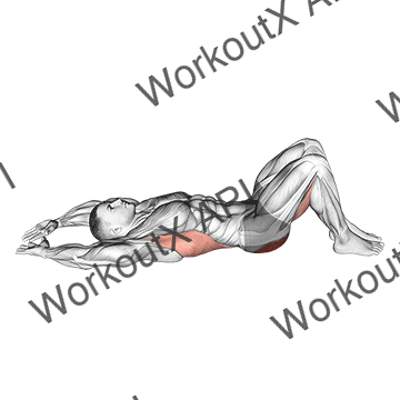 Pelvic Tilt Into Bridge animated GIF