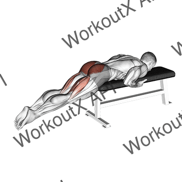 Reverse Hyper On Flat Bench animated GIF