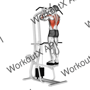 Assisted Standing Chin-up animated GIF
