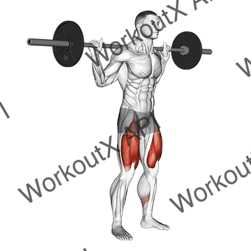 Barbell Low Bar Squat animated GIF
