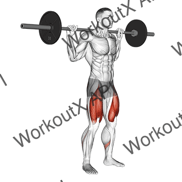 Barbell High Bar Squat animated GIF