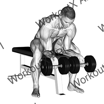 Dumbbell Finger Curls animated GIF