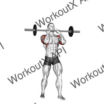 Barbell Standing Close Grip Military Press animated GIF