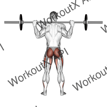 Barbell Full Squat (back Pov) animated GIF