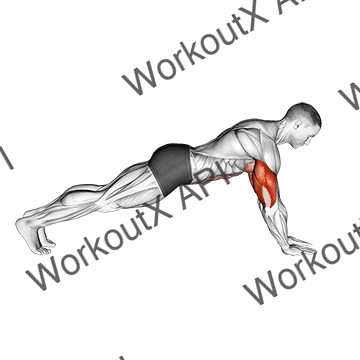 Push-up On Lower Arms animated GIF