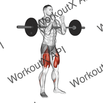 Barbell Full Zercher Squat animated GIF