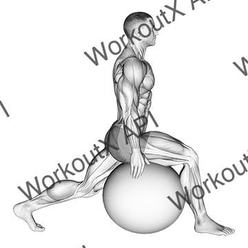 Exercise Ball Hip Flexor Stretch animated GIF