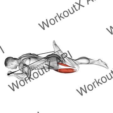 Intermediate Hip Flexor And Quad Stretch animated GIF