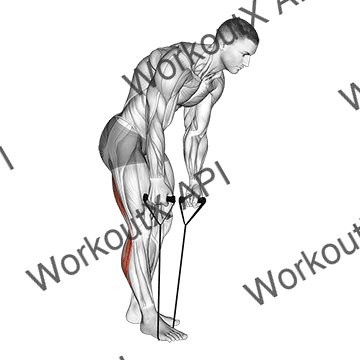 Standing Hamstring And Calf Stretch With Strap animated GIF