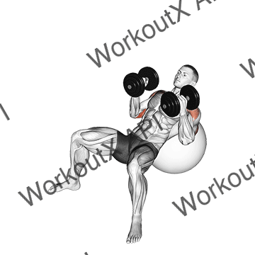 Dumbbell Incline Hammer Press On Exercise Ball animated GIF
