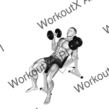 Dumbbell Palms In Incline Bench Press animated GIF