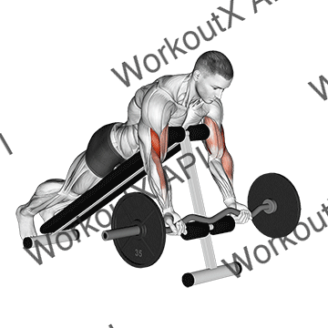 Ez Barbell Spider Curl