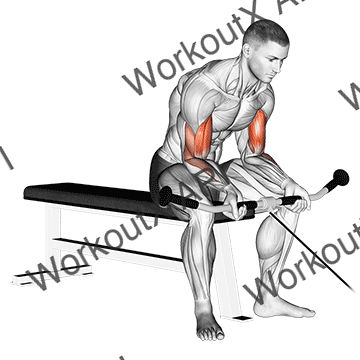 Cable Seated Curl animated GIF
