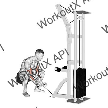 Cable Squatting Curl animated GIF