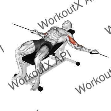 Cable Two Arm Curl On Incline Bench animated GIF