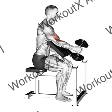 Dumbbell One Arm Hammer Preacher Curl animated GIF
