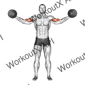 Dumbbell High Curl animated GIF