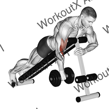 Dumbbell One Arm Reverse Spider Curl animated GIF