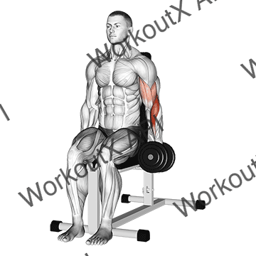 Dumbbell One Arm Seated Hammer Curl animated GIF