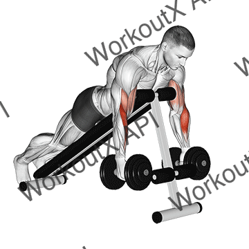 Dumbbell Prone Incline Hammer Curl animated GIF