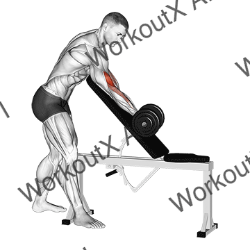 Dumbbell Standing One Arm Curl Over Incline Bench animated GIF