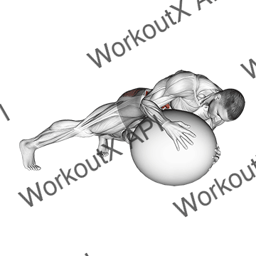 Prone Twist On Stability Ball animated GIF
