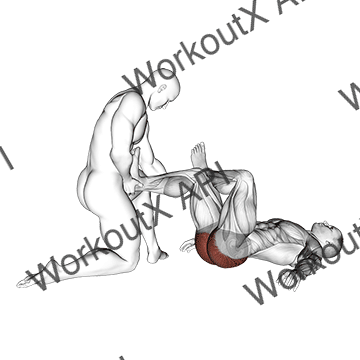 Assisted Lying Gluteus And Piriformis Stretch animated GIF