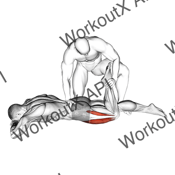 Assisted Prone Lying Quads Stretch animated GIF