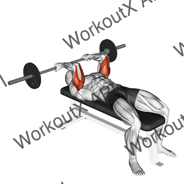 Barbell Reverse Grip Skullcrusher animated GIF