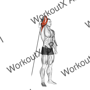 Cable Standing Reverse Grip One Arm Overhead Tricep Extension animated GIF
